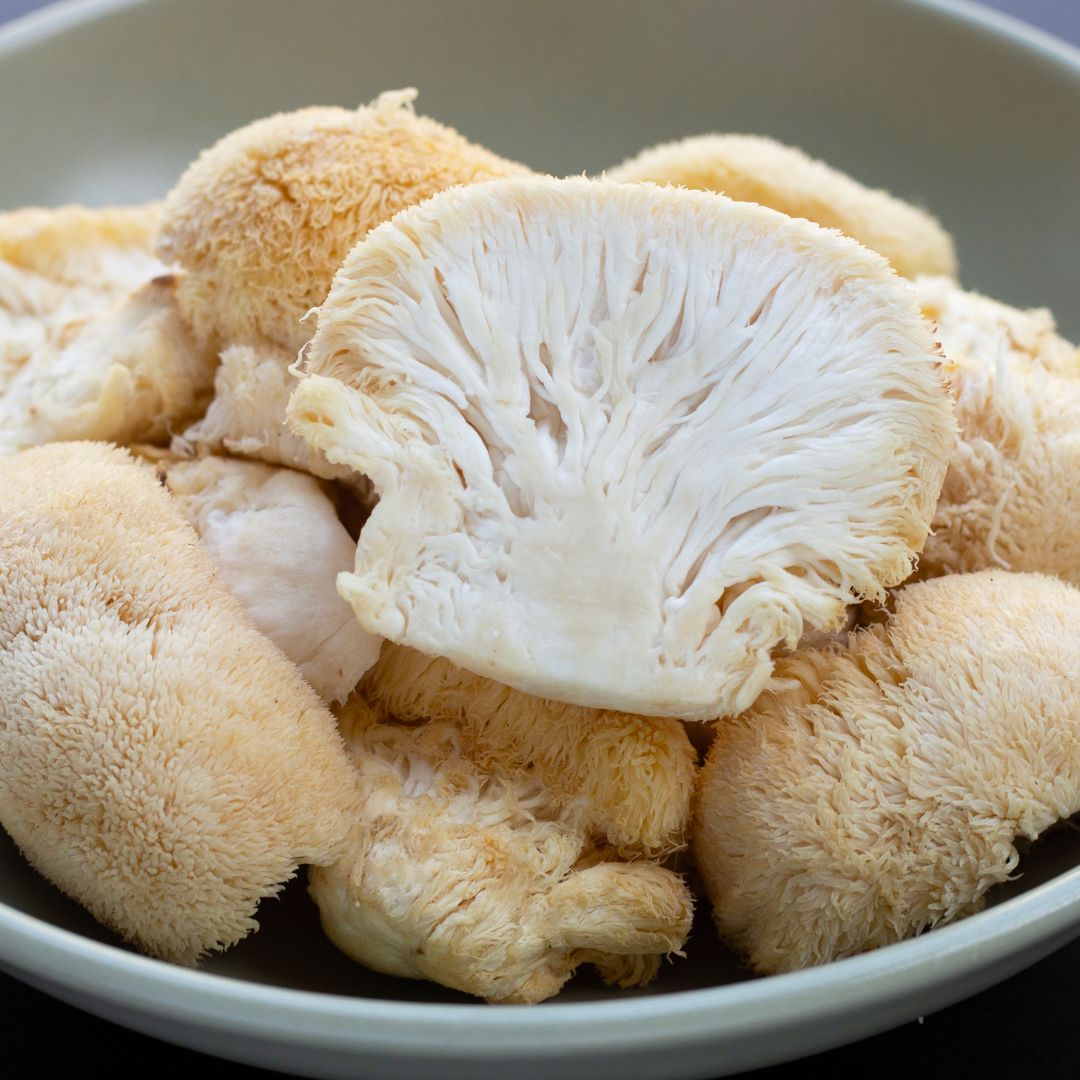 Top 5 Nootropic Mushrooms for Brain Health