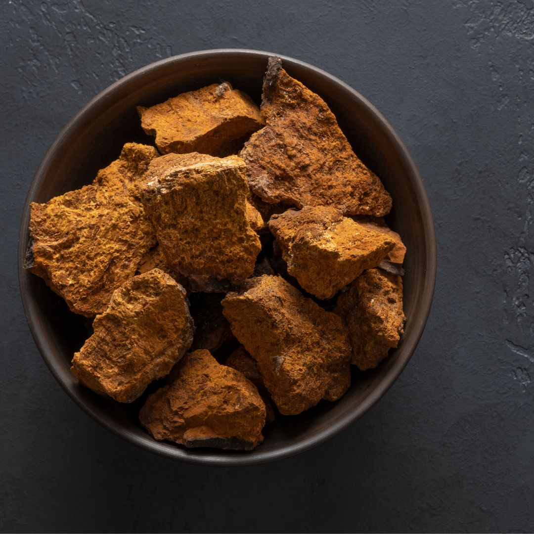 Unlocking the Power of Chaga Mushroom: Benefits for Cognitive Function and Brain Health