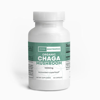 Chaga Mushroom