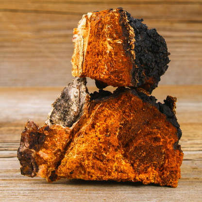 Chaga Mushroom