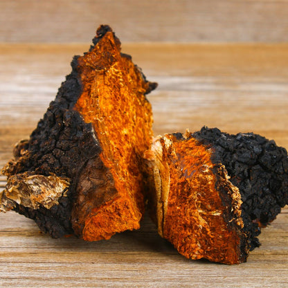 Birch Chaga Truffles